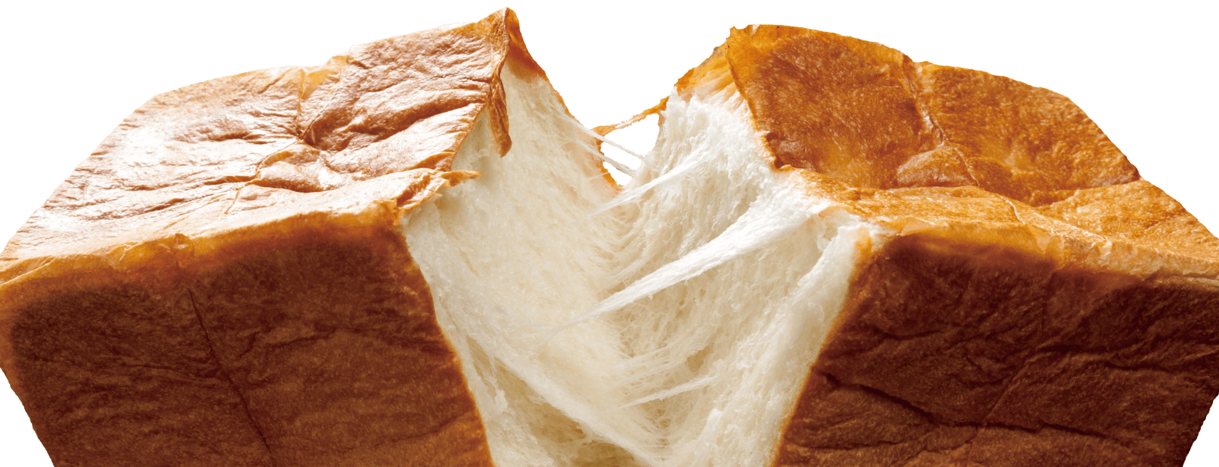 食パンに込めた熱い想いを今、全力投球。